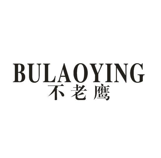 不老鹰