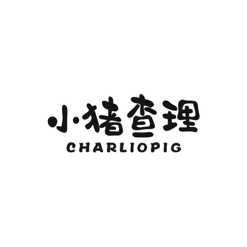 小猪查理 CHARLIOPIG