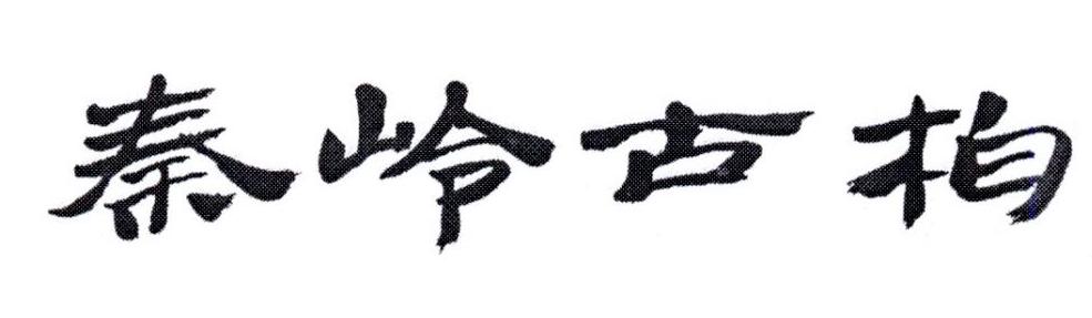 秦岭古柏