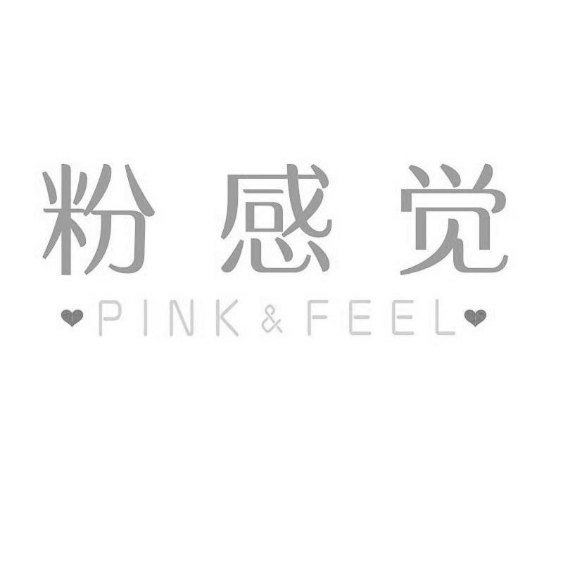粉感觉 PINK FEEL