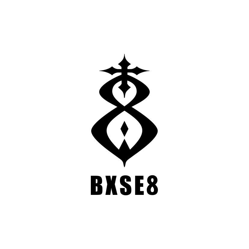 BXSE 8