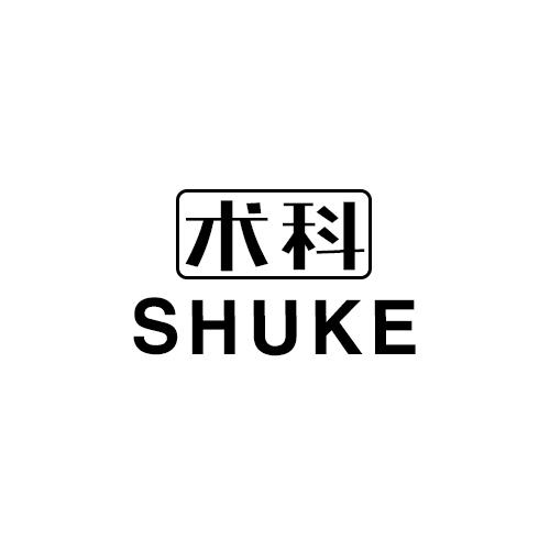 术科