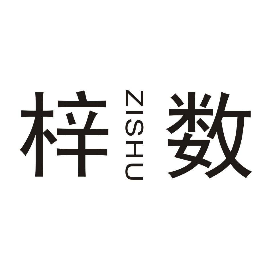 梓数        ZISHU