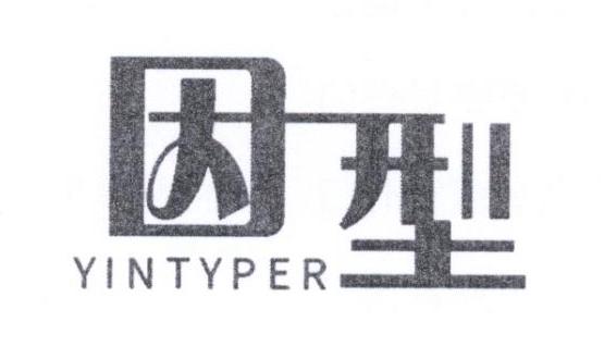 因型 YINTYPER