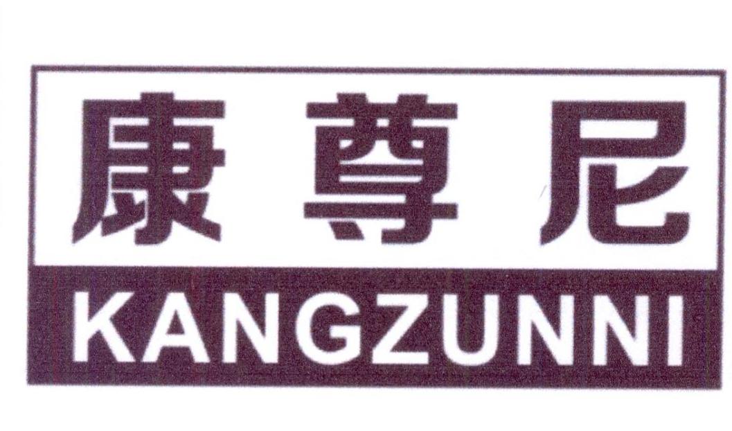 康尊尼