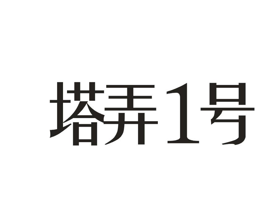 塔弄  1号