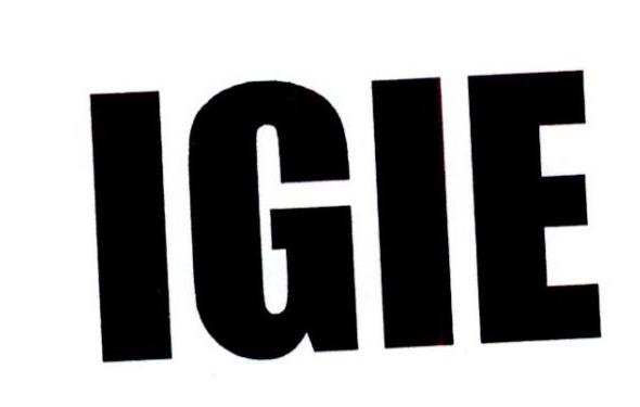 IGIE