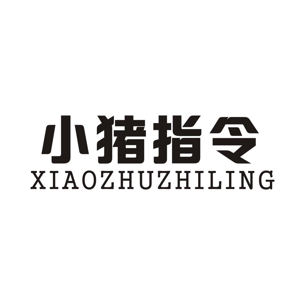 小猪指令XIAOZHUZHILING