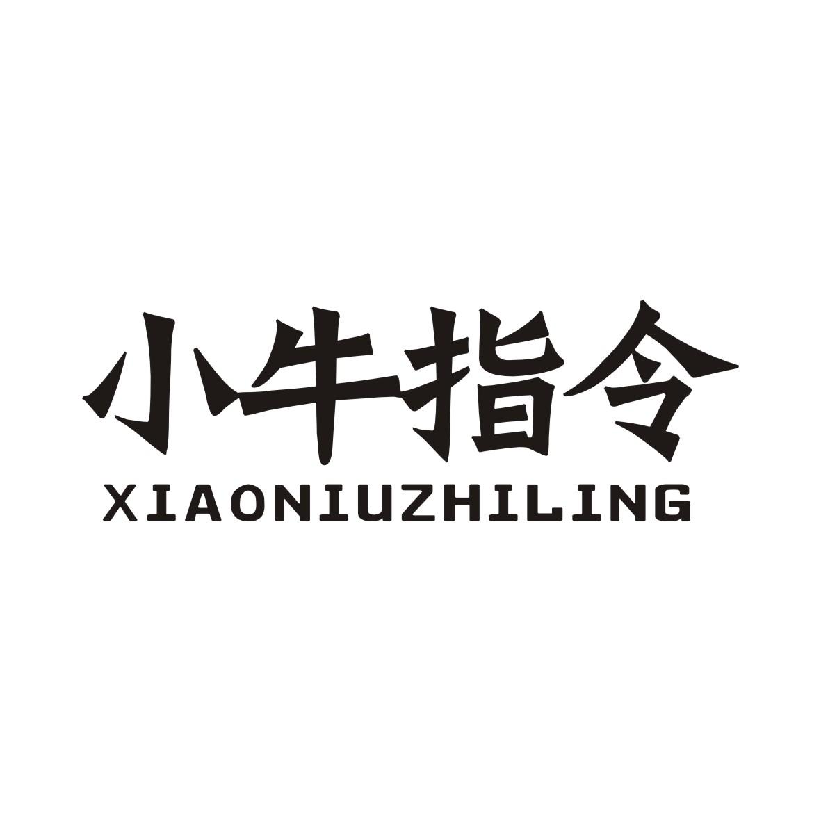 小牛指令XIAONIUZHILING
