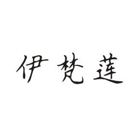 伊梵莲