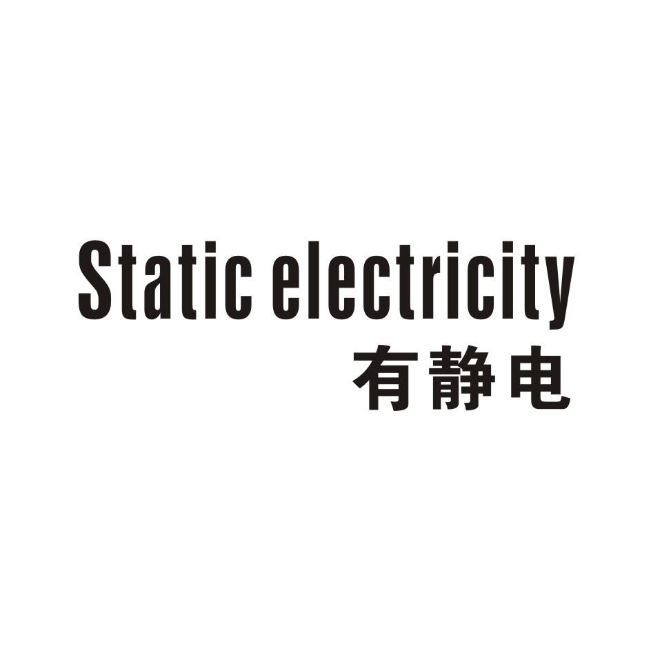 有静电      STATIC ELECTRICITY