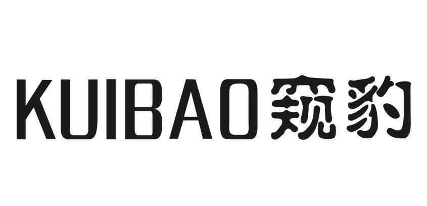 窥豹