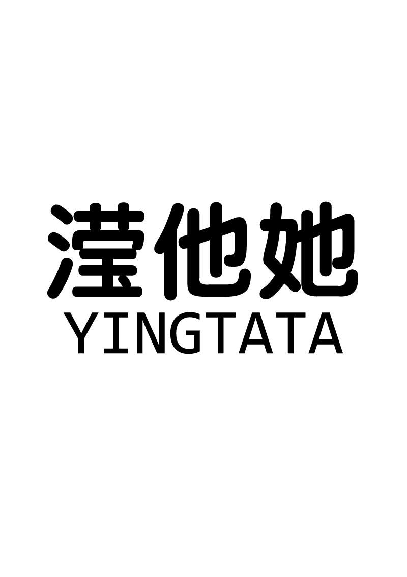 滢他她