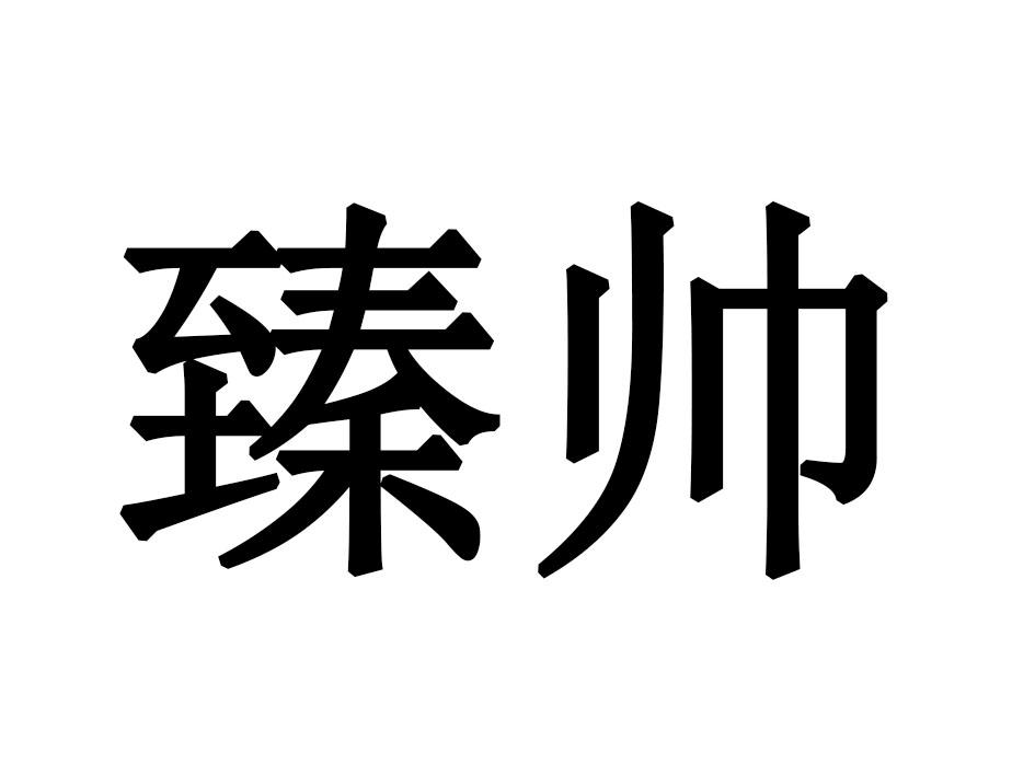 臻帅