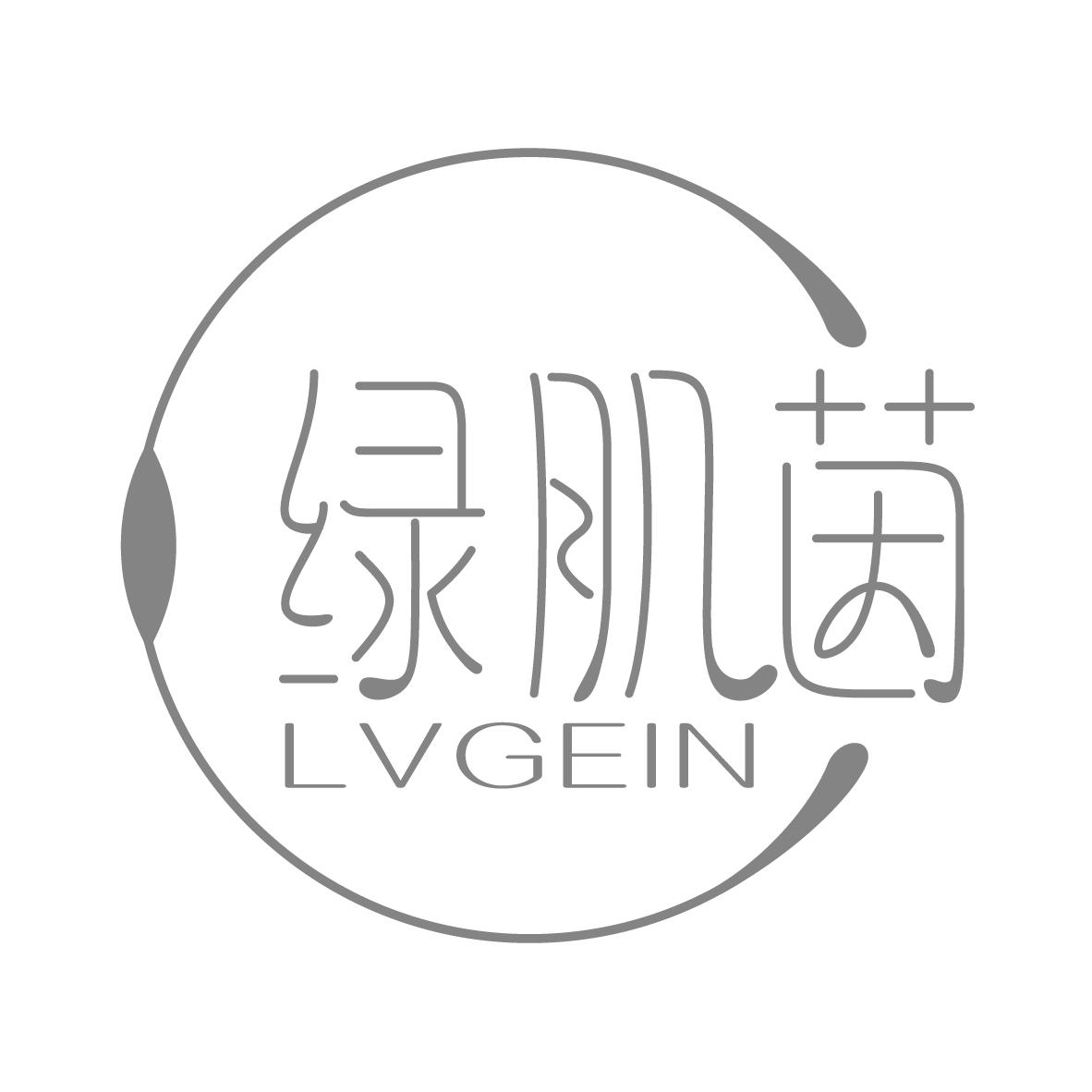 绿肌茵 LVGEIN