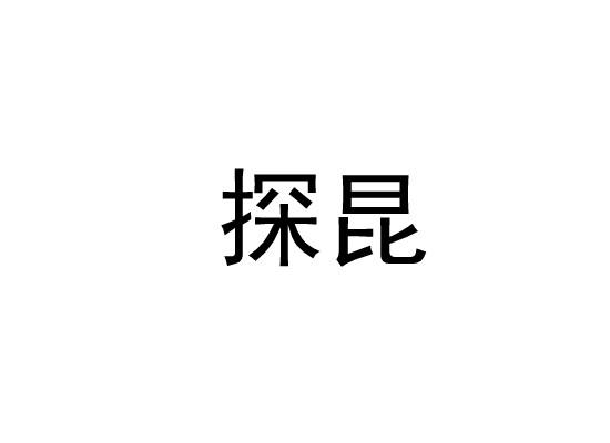 探昆