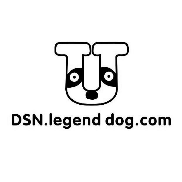 DSN.LEGENDDOG.COM