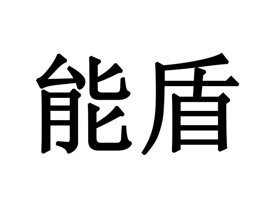 能盾