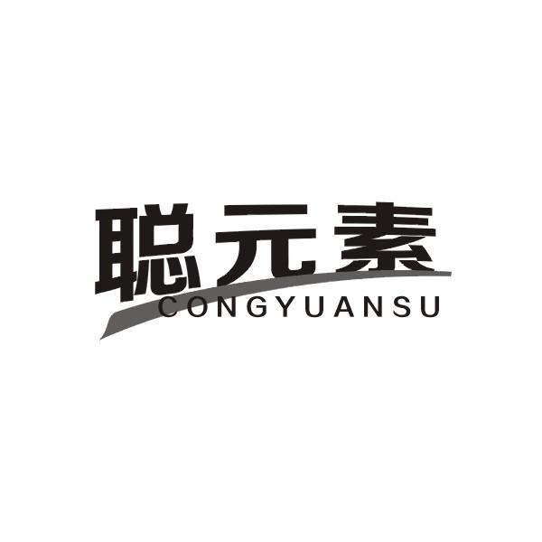 聪元素