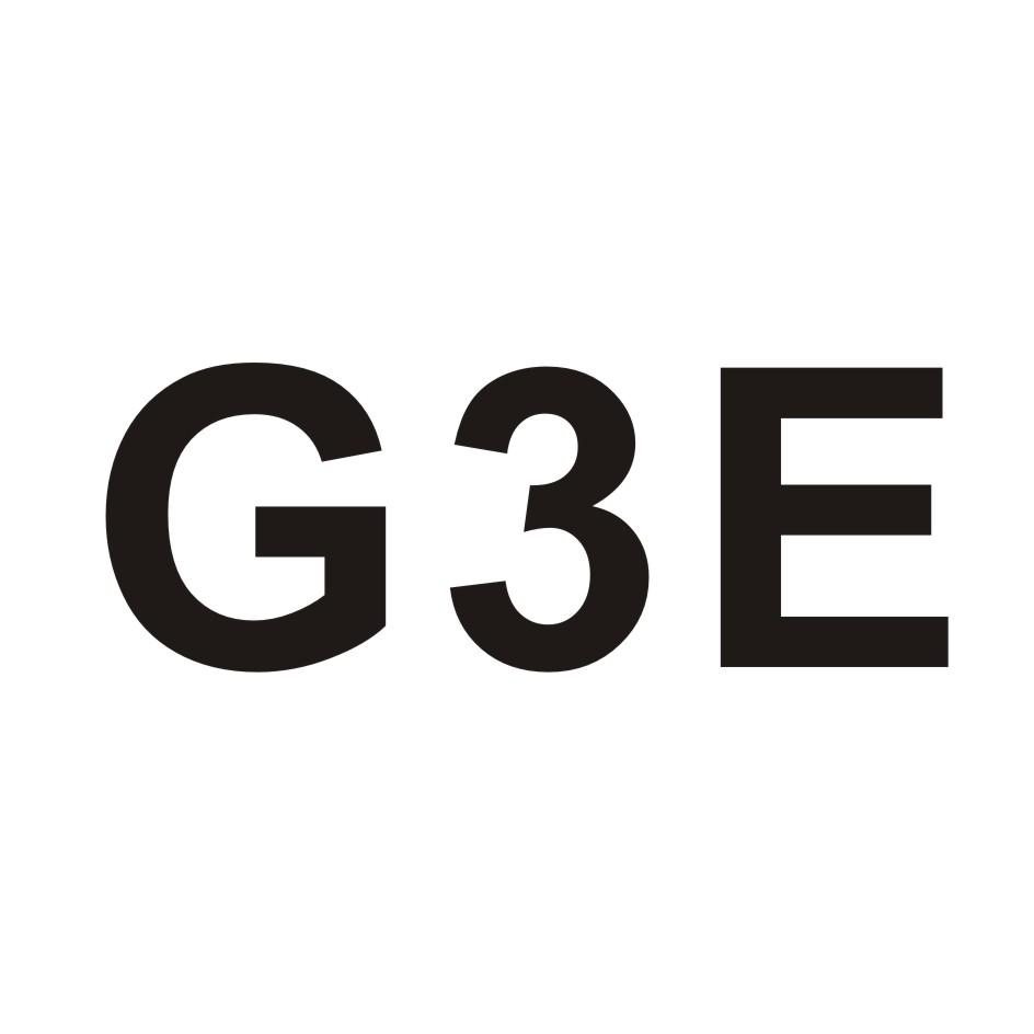 G3E