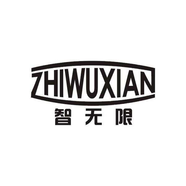 智无限