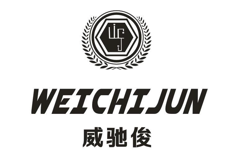 威驰俊