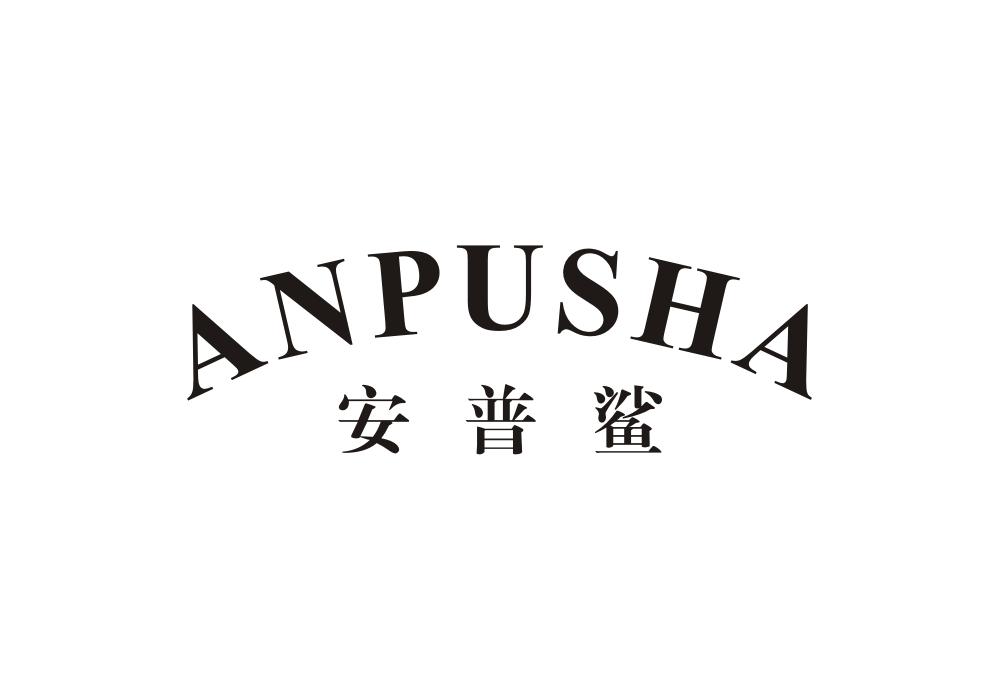 安普鲨