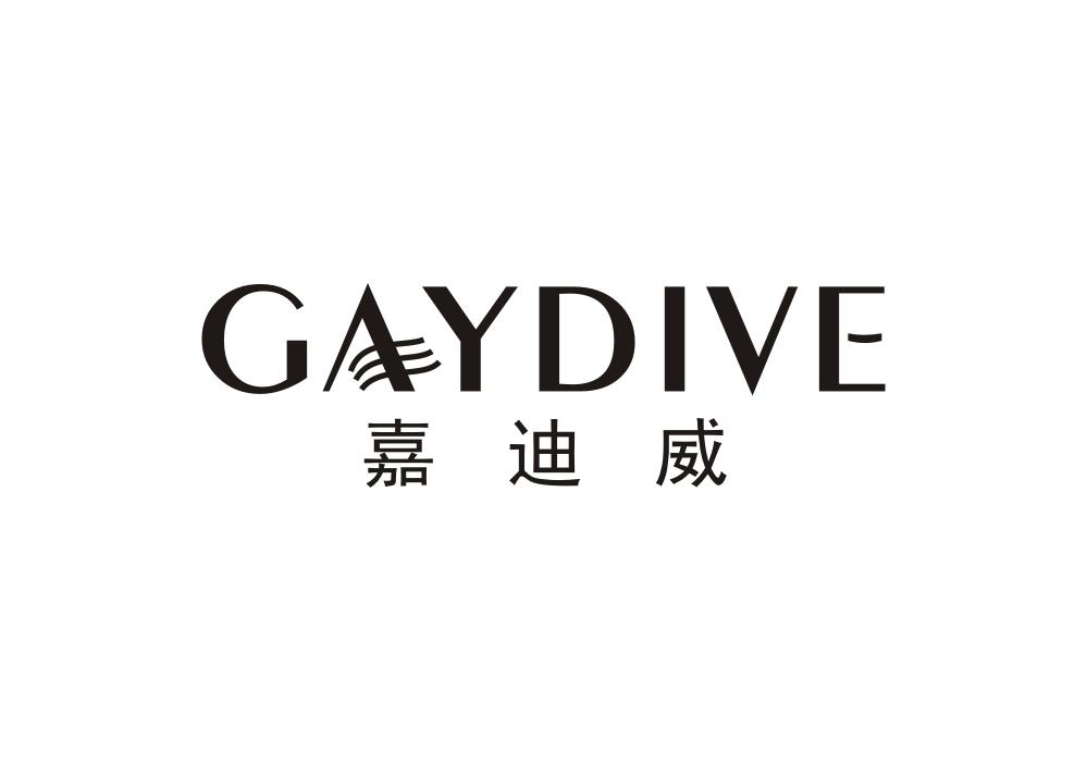 嘉迪威 GAYDIVE