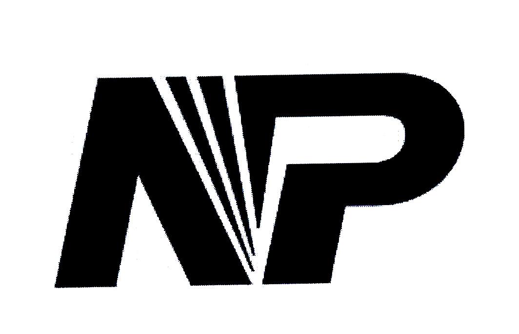 NP图形