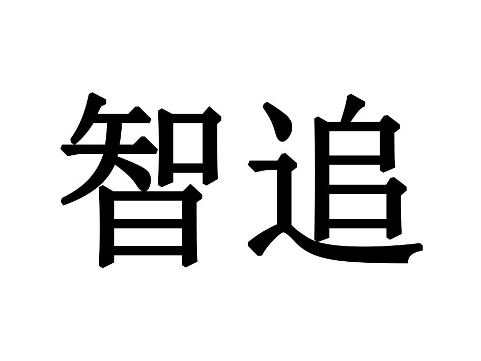 智追