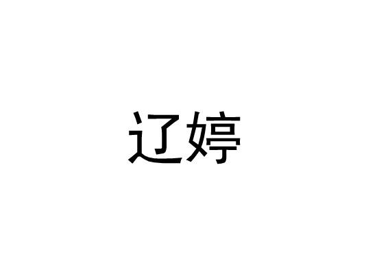 辽婷