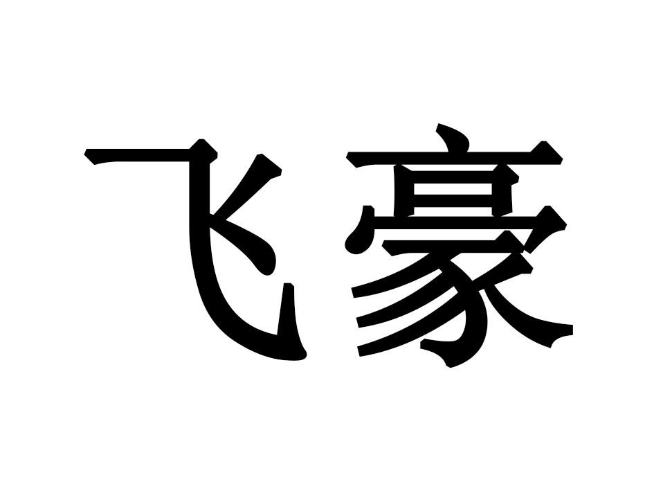 飞豪