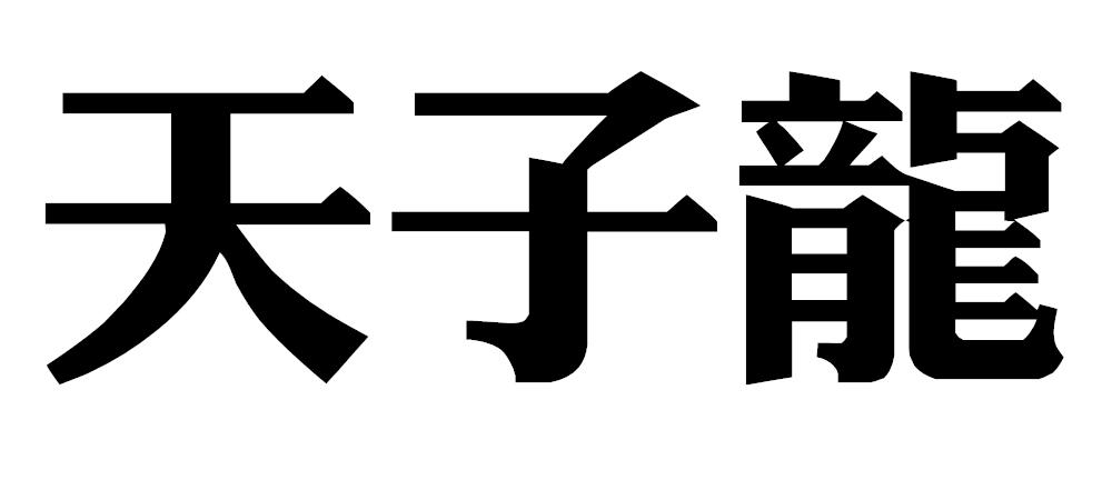 天子龙
