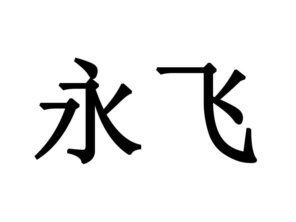 永飞