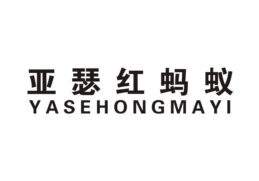 亚瑟红蚂蚁