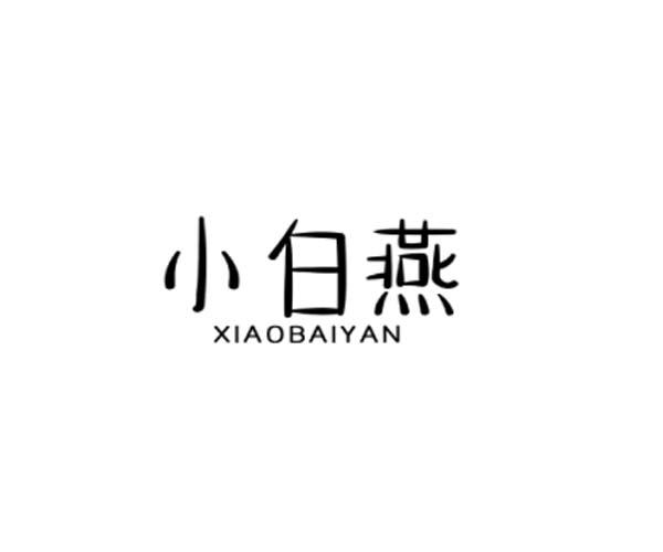 小白燕