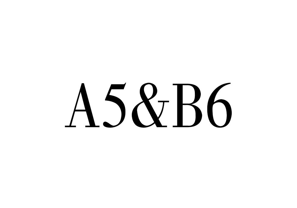 A5＆B6