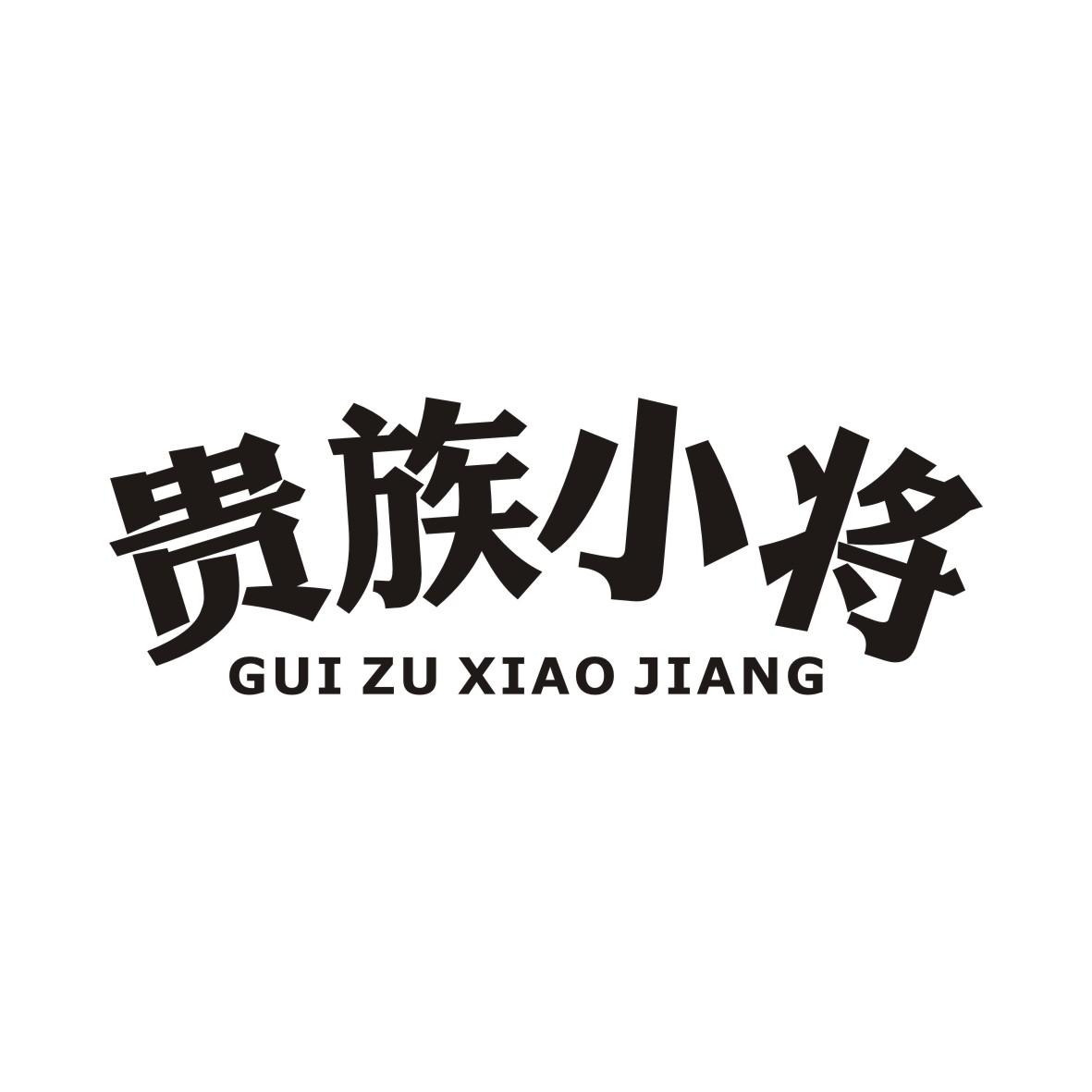 贵族小将GUIZUXIAOJIANG