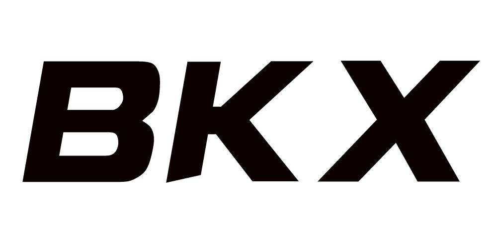 BKX