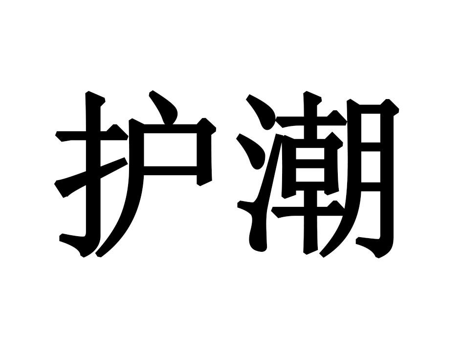 护潮