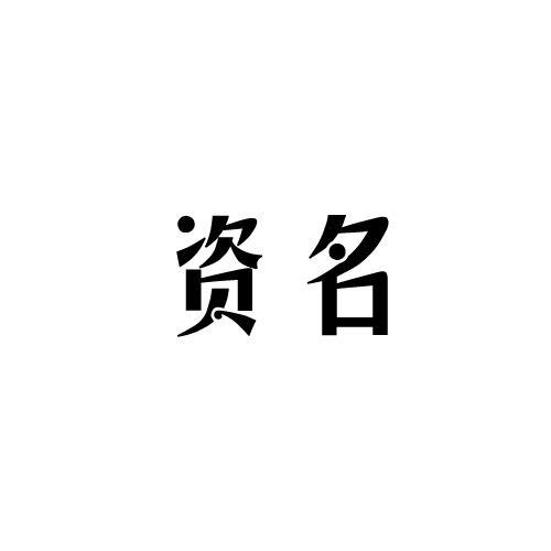 资名