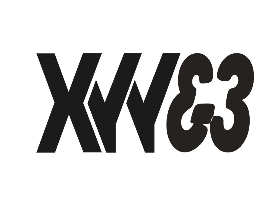 XYYE 3