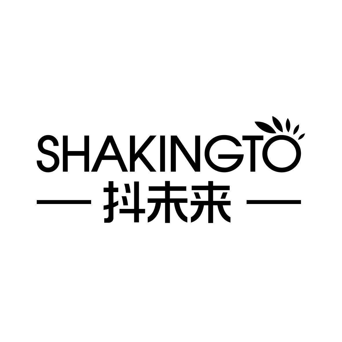 抖未来 
SHAKINGTO