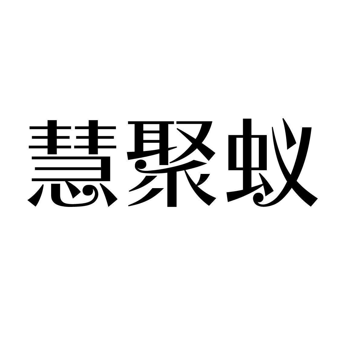 慧聚蚁