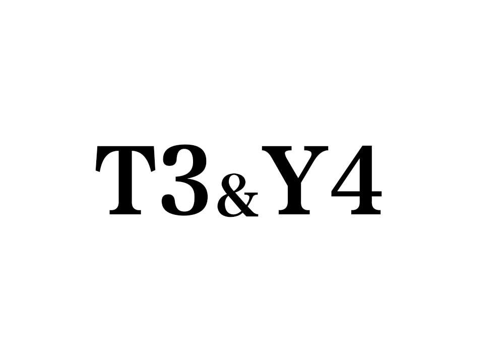 T3Y4