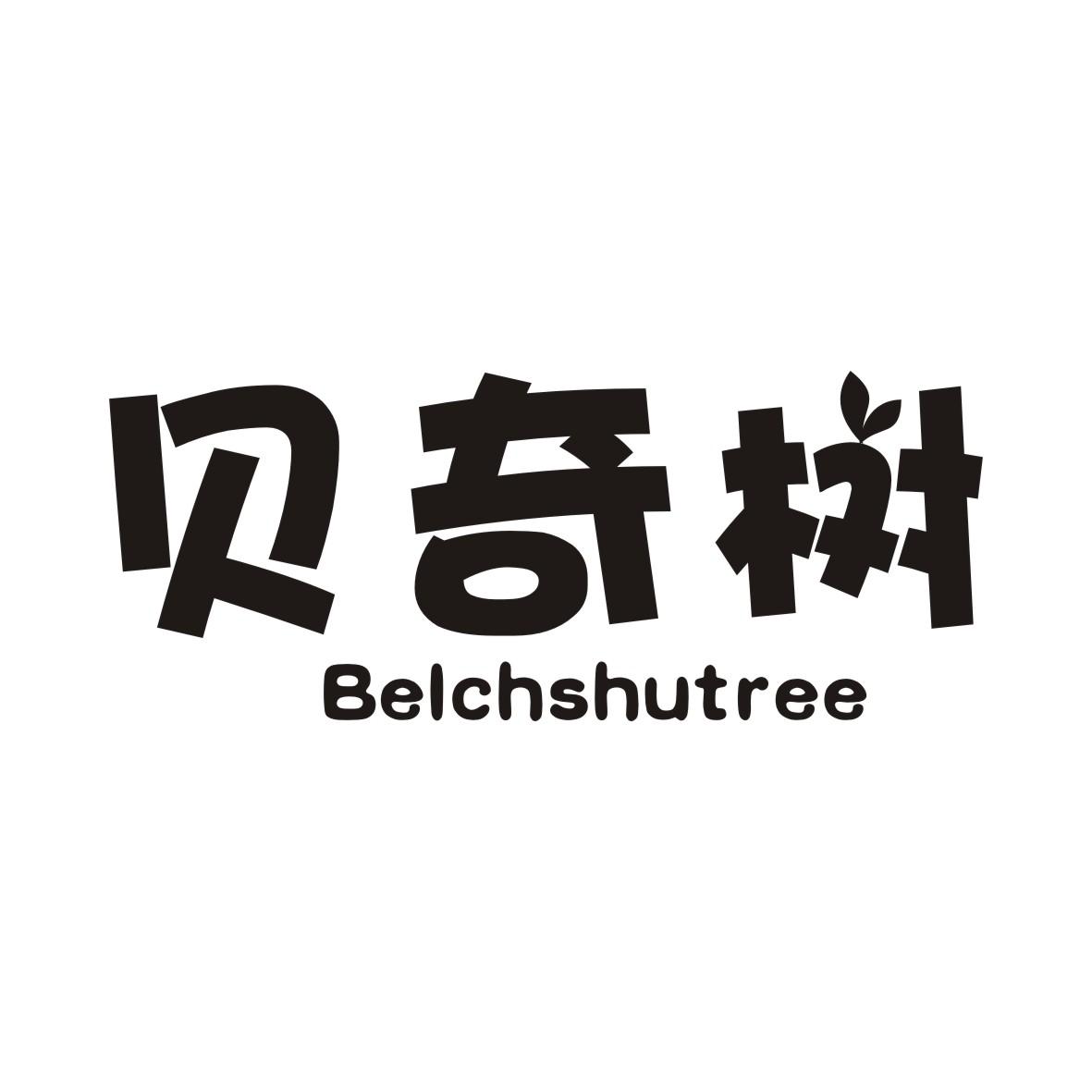 贝奇树BELCHSHUTREE