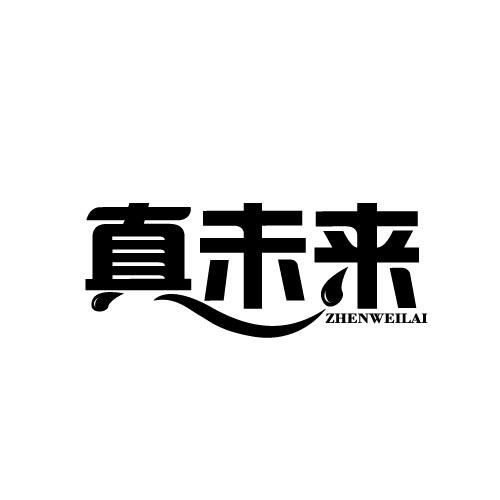 真未来