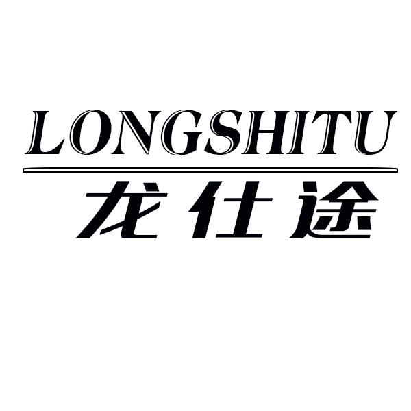  龙仕途