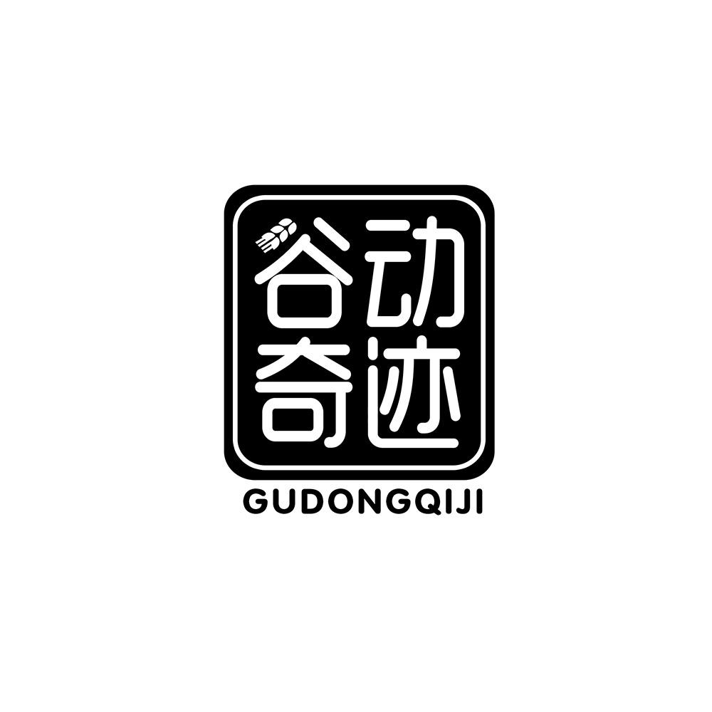 谷动奇迹