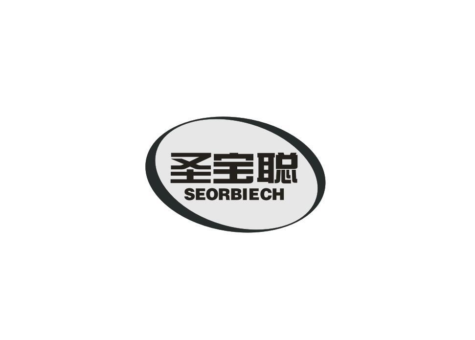 圣宝聪
